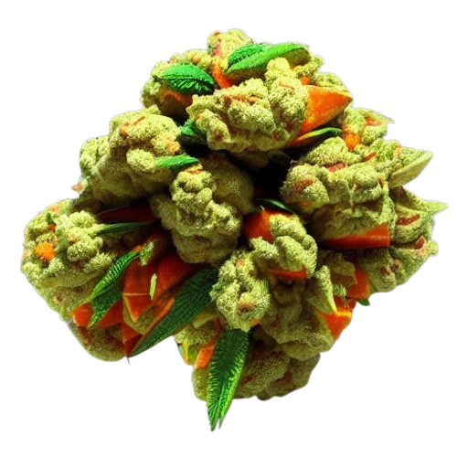Mangonoyes Kush